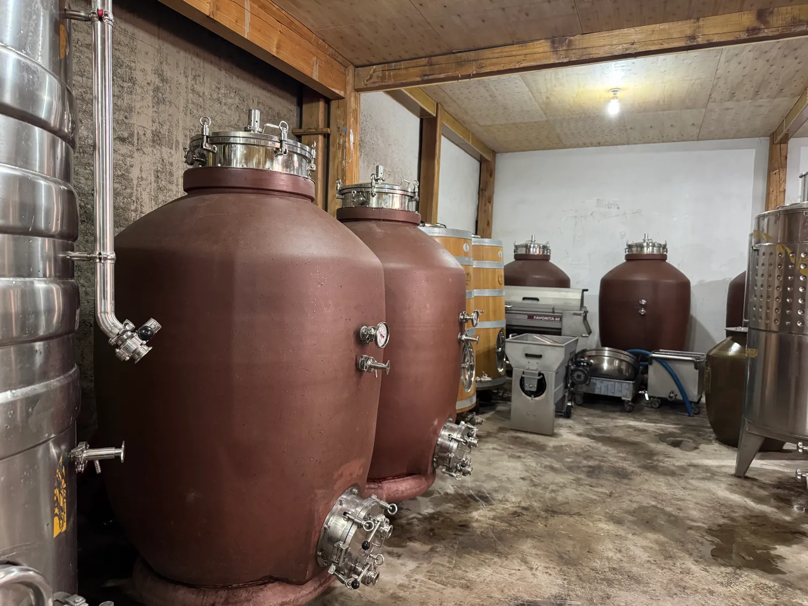 Wine amphora success case 11